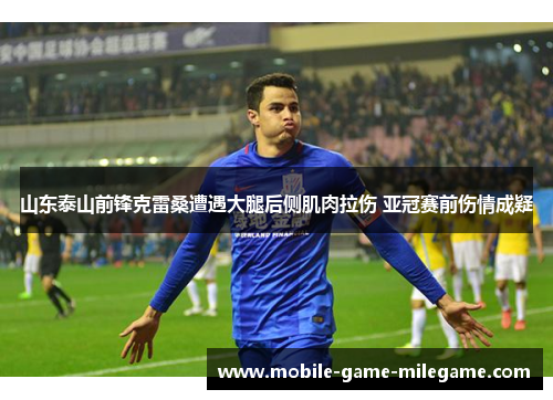 山东泰山前锋克雷桑遭遇大腿后侧肌肉拉伤 亚冠赛前伤情成疑